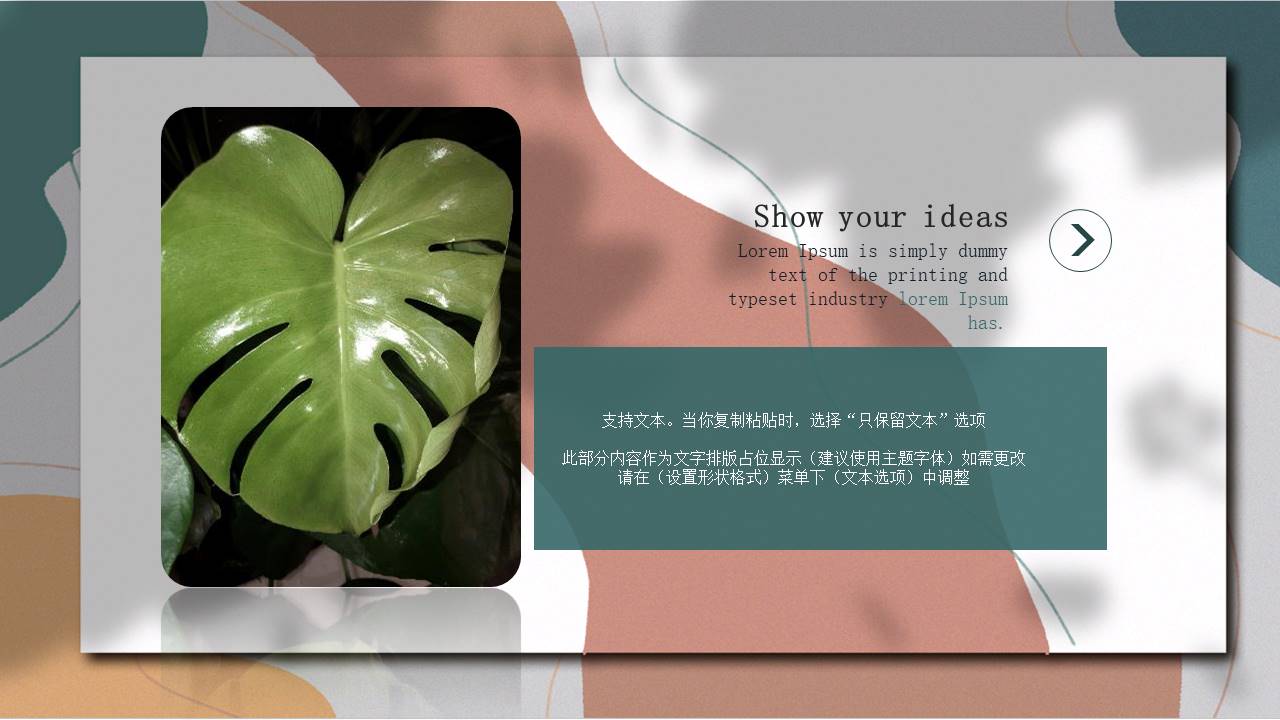 莫兰迪 (103).pptx